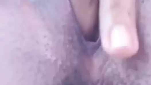 Sıcak Güney Amerikalı kedi ile oynuyor