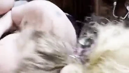 Tinder'dan 20 yaşındaki bir kızı emmek