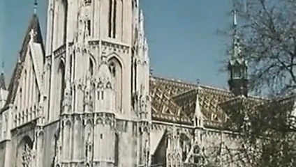 La piccola rosa tra le gambe