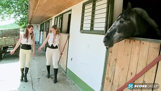 Christy Marks ve Terry Nova: ahırda 4'lü sikiş