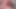 Pink'de oynuyor