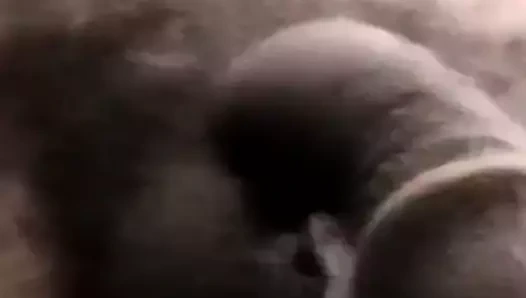 Abanoz damızlık yavaş yavaş çalışır üzerinde onun bbc ve orgazm iyi