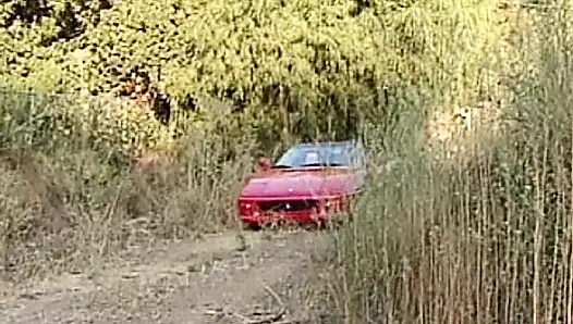 Şaşırtıcı sarışın Fransız bebek doğada sikiliyor