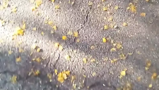 Büyük büyük göt