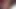 Yeni abanoz arkadaşım yeteneklerini skype'ta gösteriyor