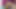 Medellin'den Kolombiyalı latin esmer için porno oyuncu seçmeleri - genç esmer kadın porno oyuncusu olmak istiyor ve röportaj yapıyor - jhondick10