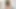 Yaramaz hatun dildo yalıyor ve sonra tıraşlı amına sokuyor