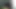 Islak kedi var yakalandı kahrolası üzerinde yeni çük
