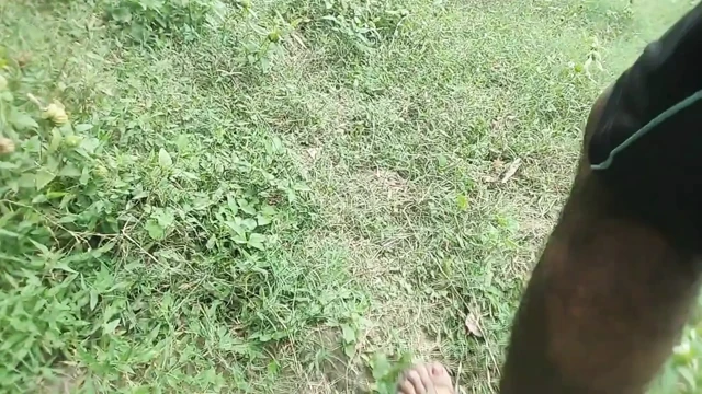 Desi shemale boy facking forest woking in afternoon