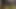 Tatminsiz Hintli koca yeni evli gelini sikiyor