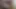 Bekaret kemeri içinde 2 tombul orta yaşlı seksi kadın tarafından sikiliyor - krystal davis ve codi vore