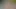ırklararası pov derleme