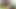 Üvey kız kardeşimin porno oyuncusu olduğunu öğrendim ve ona sert sikmeme izin vermesini istedim, ta ki vajinasına boşalana kadar