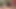 Stacy Adams bize pornoyı ne kadar sevdiğini gösteriyor