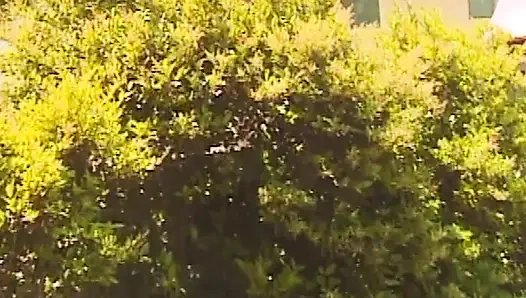 Versaute Fantasie läuft komplett aus dem Ruder wenn