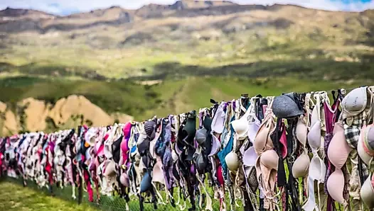 3347 renginde kaybolan vanilya