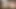 Twistys - iç çamaşırı güzel dansçı onu kedi losyonları