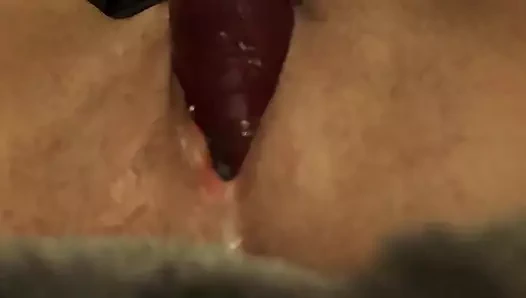 damlayan KEDİ ihtiyaç duyan horoz