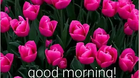 Senin uzun aletinle beni sert sik..