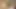 Holly kalp teaser 1