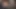 Orta yaşlı seksi kadın kaygan yarak emiyor