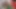 Küçük üvey kız kardeşinin evde kimse yokken mastürbasyon yaptığını keşfeder