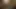 Amatör homegorwn kedi çarptım pov içinde ur yüz kedi nut