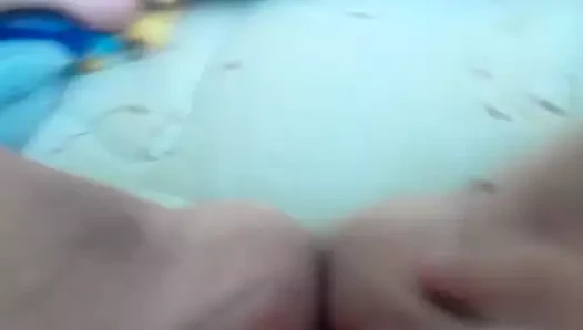 Emily kedi oyun