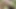 Olgun Kızlar Bahçede Birbirlerine Mastürbasyon Yapıyor Ve Birbirlerinin Vajinalarını Dildo Yapıyor