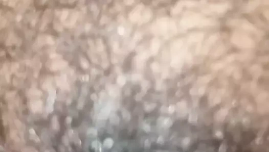 ön görünüm saç kedi