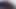 Dino - Thugboy