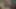 Büyük yaraklı Hintli romantik kadın arkadaşı tarafından sikiliyor