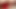 egzotik ladyboy ağları ve solo anal oyun ile dalga geçiyor