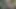 Amatör zenci lezbiyenler açık havada keşif yapıyor ve patlamalı orgazm yaşıyor