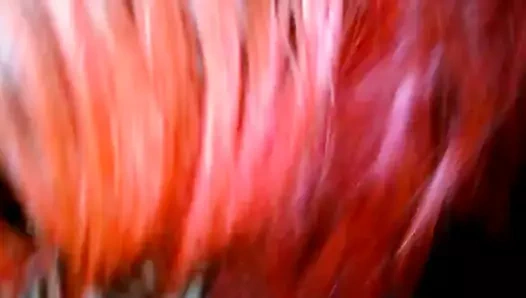 Büyük kadınlar bj içinde benim dodge durango