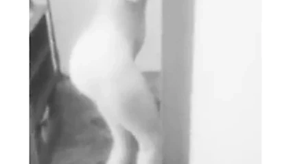 Connie abba video sıcak