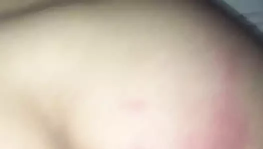 Büyük götlü domaltma