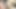 Seksi sarışın kaltak zenci delikanlıya havuz kenarında sakso çekiyor