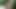 Japon horoz teaser marica var becerdin, sansürsüz