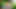 VISIT-X Junges Girl beim Dildofick im Wald fast erwischt