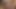 lanet iki fatties