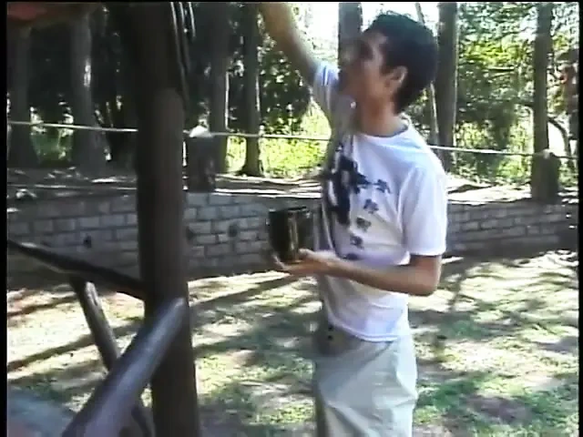 Genç oğlan sakso çekiyor sonra travestilerin sert yarağını emiyor ve sarışın latin travesti Melissa Merlin'i Brezilyalı götünden sikiyor