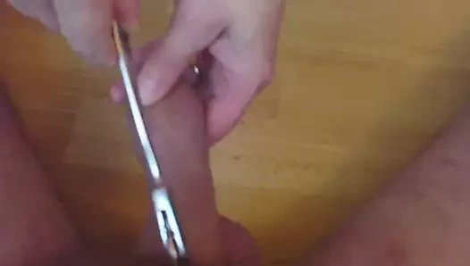 siyah platform katır içinde Ballbusting metresi