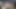 Büyük memeli inek öğretmeni sağıyor