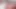 Asyalı üniversiteli kız sıkı ıslak kıllı amına büyük seksi bir oyuncakla fışkırtıyor