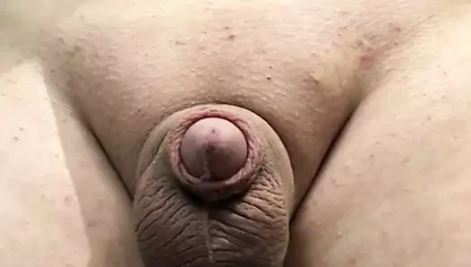 traş küçük penis içinde külot oynamak ile büyük topları