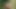 10 amatör yüz cumshots vol. 20