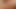 Hindistan reynolds cumtribute