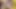 Kız arkadaşımla birlikte emmeyi seviyorum. 4K HD Tim Team