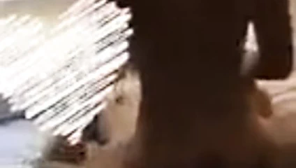 Aldatılan karısı otelde genç boğa hoşlanır